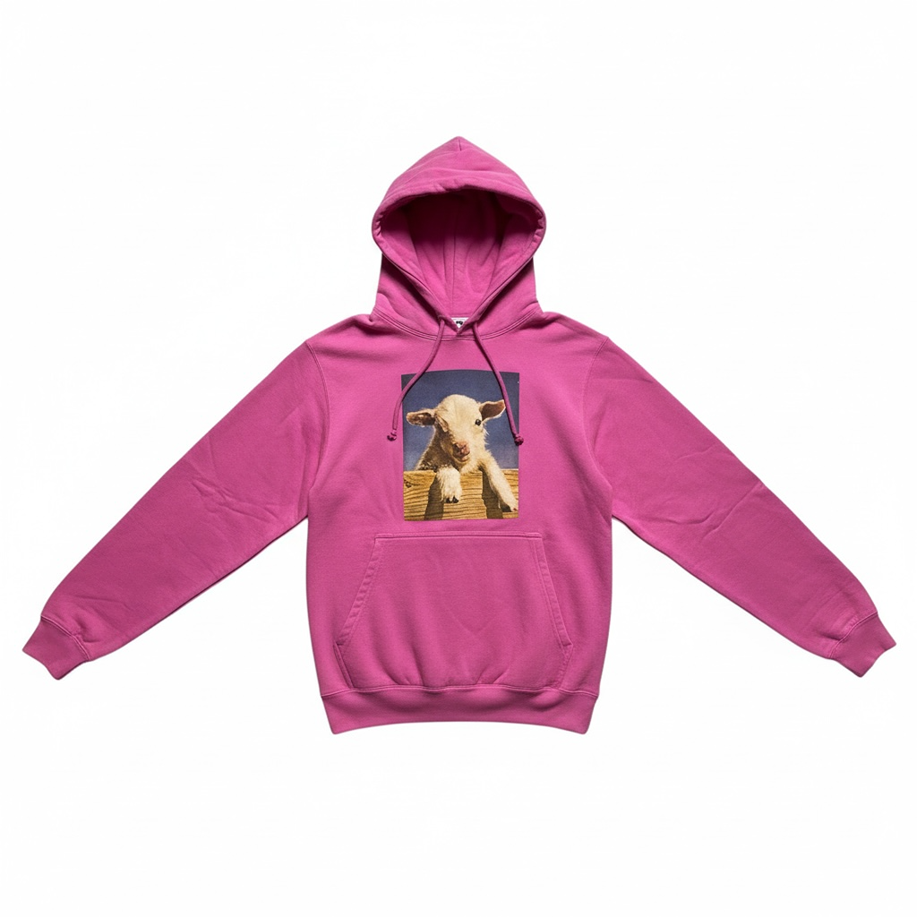 Sweat à capuche Sandro - M - Rose - État : Neuf avec étiquette